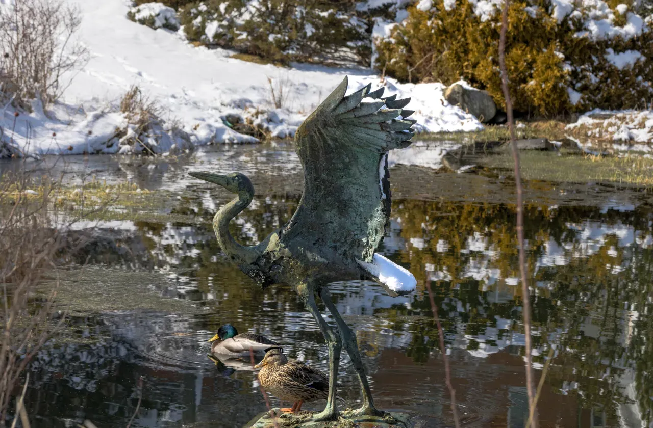 植物园 Crane Pond